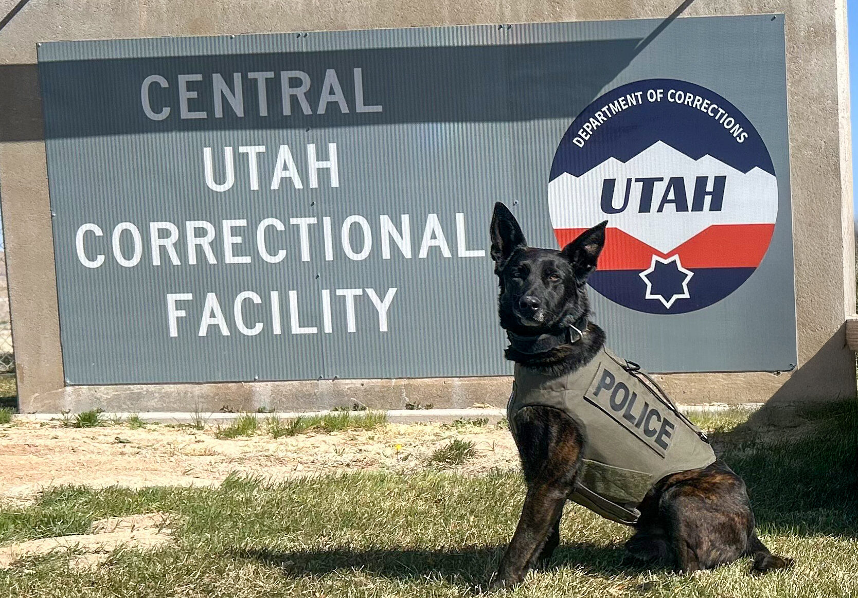 K9 Doc Holliday shows off his protective vest while posed in front of the sign for the Central Utah Correctional Facility.
