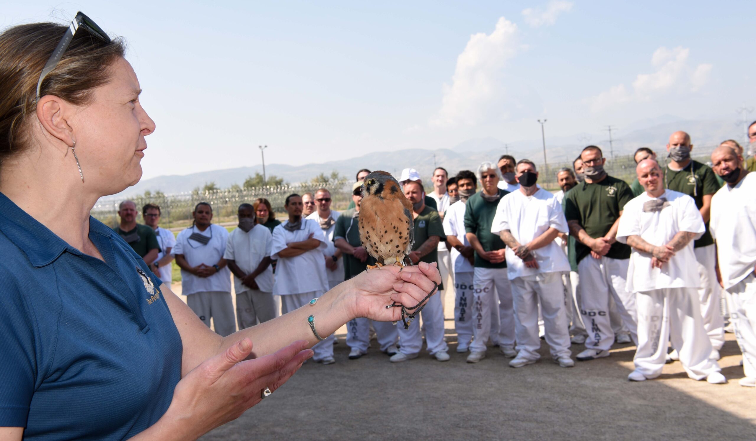 Featured image for “Birds of prey make an appearance at Utah State Prison”